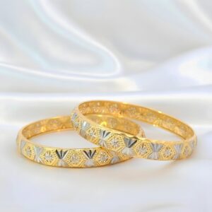 Ladies Two-Tone Bangles[D/N34)