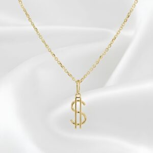 Fancy Dollar Sign Pendant & Chain