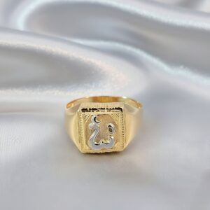 Classy Telegu Aum Gents Ring
